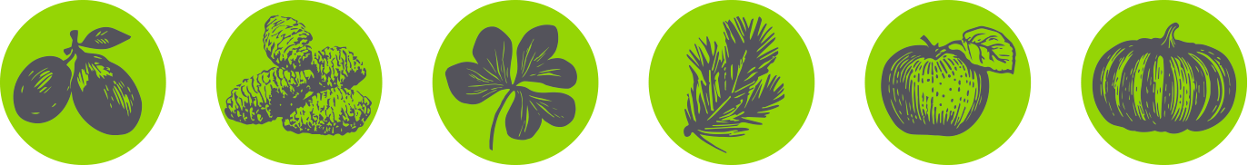 Autumn Illustrations